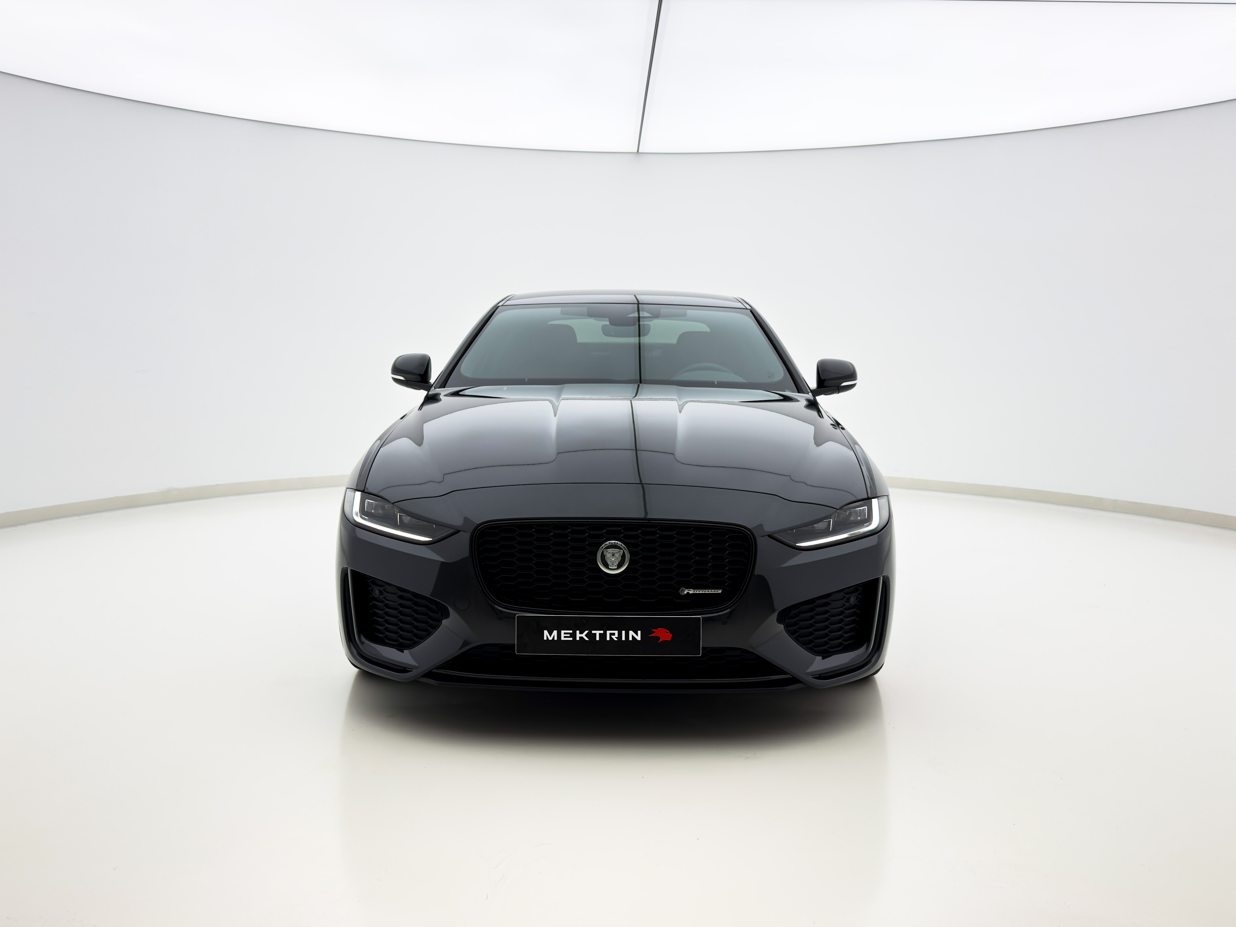Jaguar - Xe